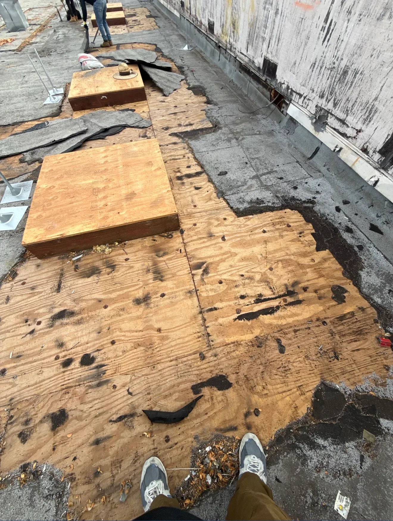 A flat commercial roof being stripped down to exposed plywood decking, with torn-up membrane and old roofing debris piled to the side and a worker standing nearby.